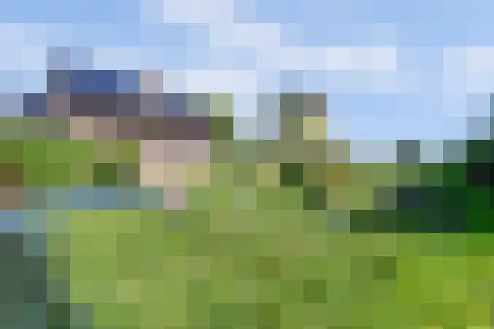 Laag Boskoop 2 Boskoop thumbnail 55