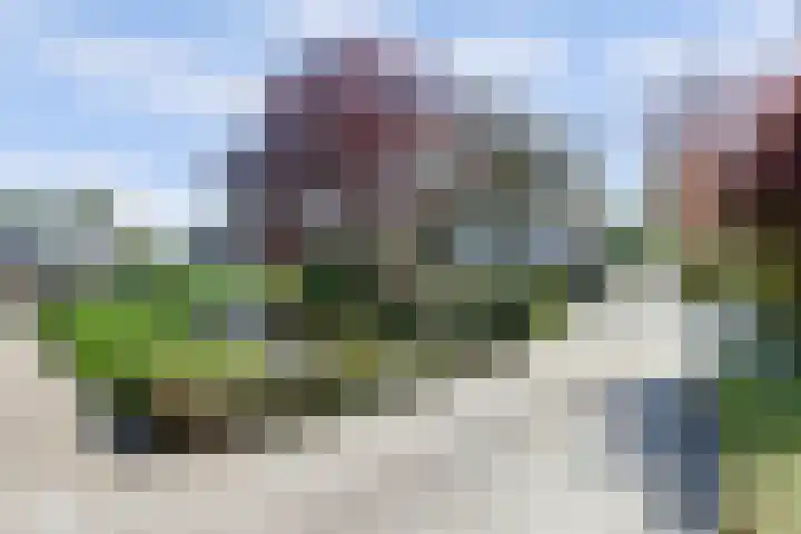 Laag Boskoop 2 Boskoop thumbnail 6