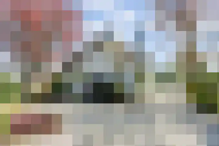 Laag Boskoop 2 Boskoop thumbnail 64