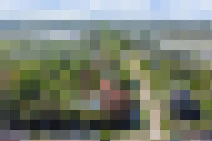 Laag Boskoop 2 Boskoop thumbnail 7