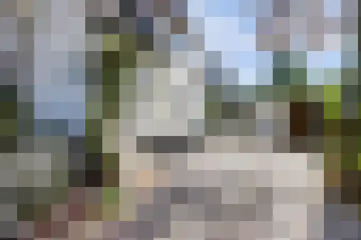 Laag Boskoop 2 Boskoop thumbnail 9