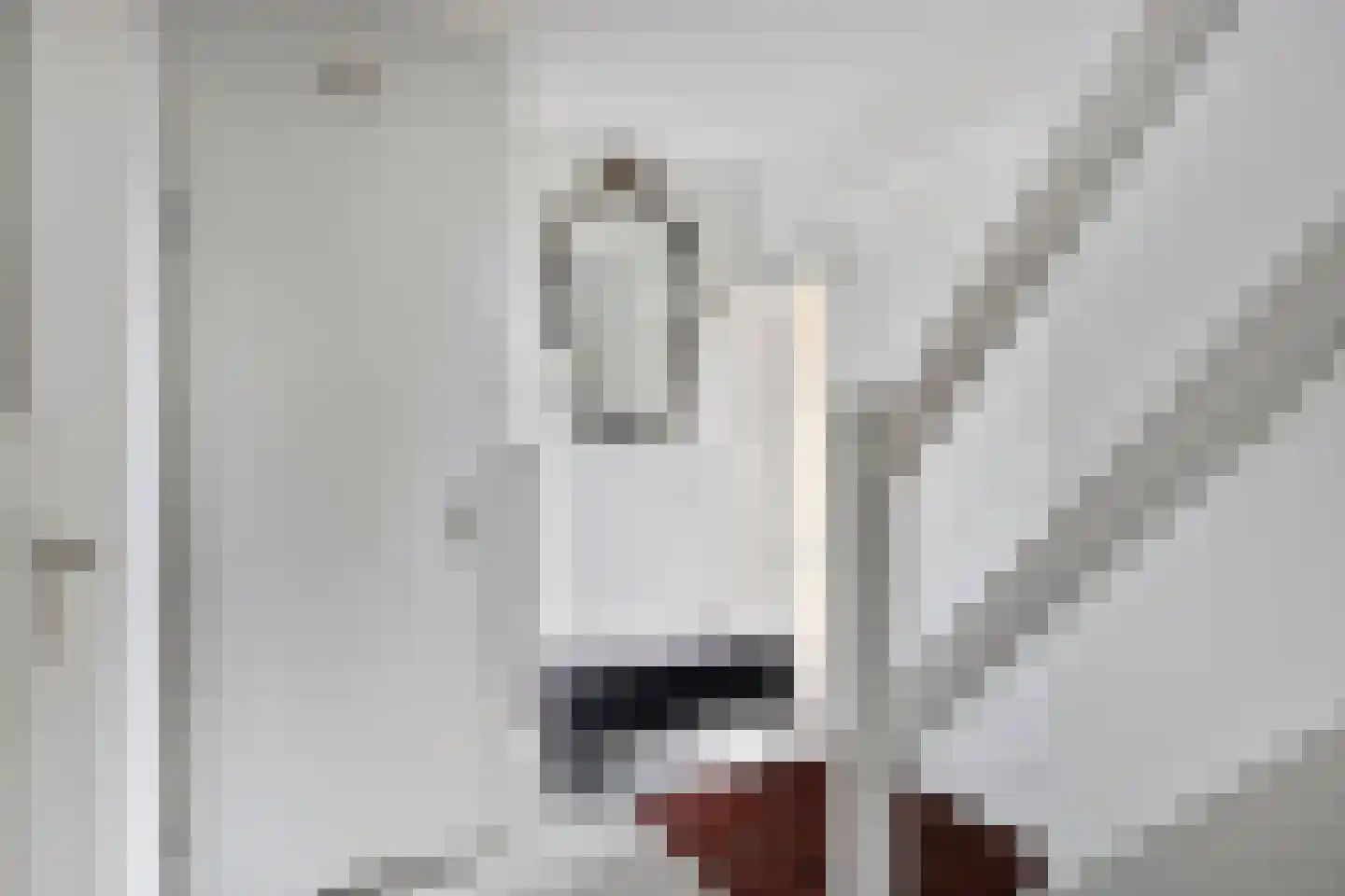 Laag Boskoop 55 Boskoop thumbnail 10
