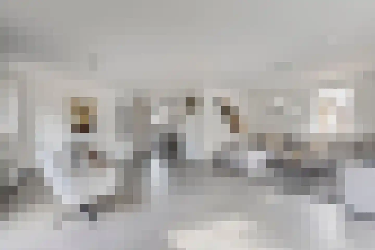 Laag Boskoop 55 Boskoop thumbnail 12