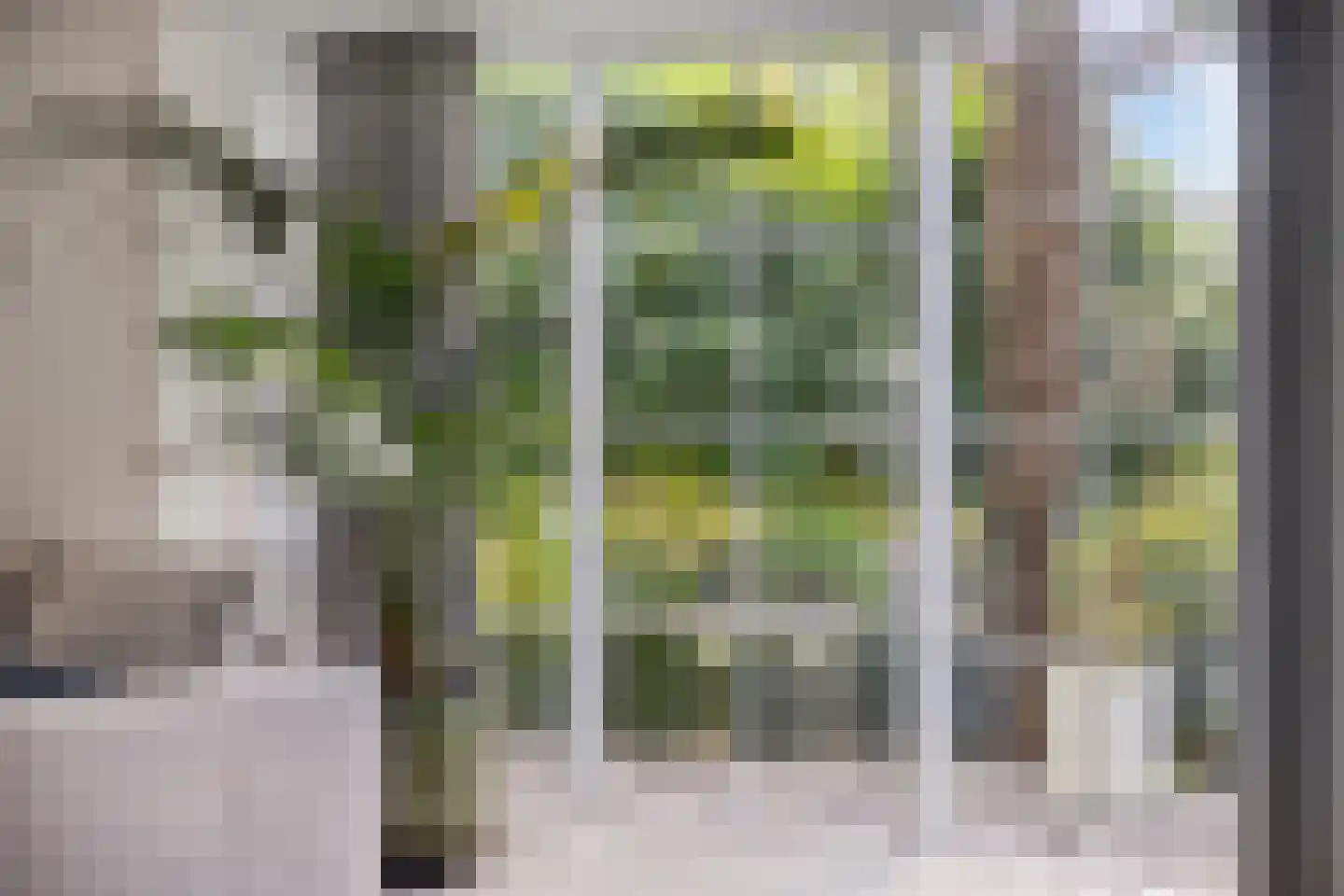 Laag Boskoop 55 Boskoop thumbnail 13