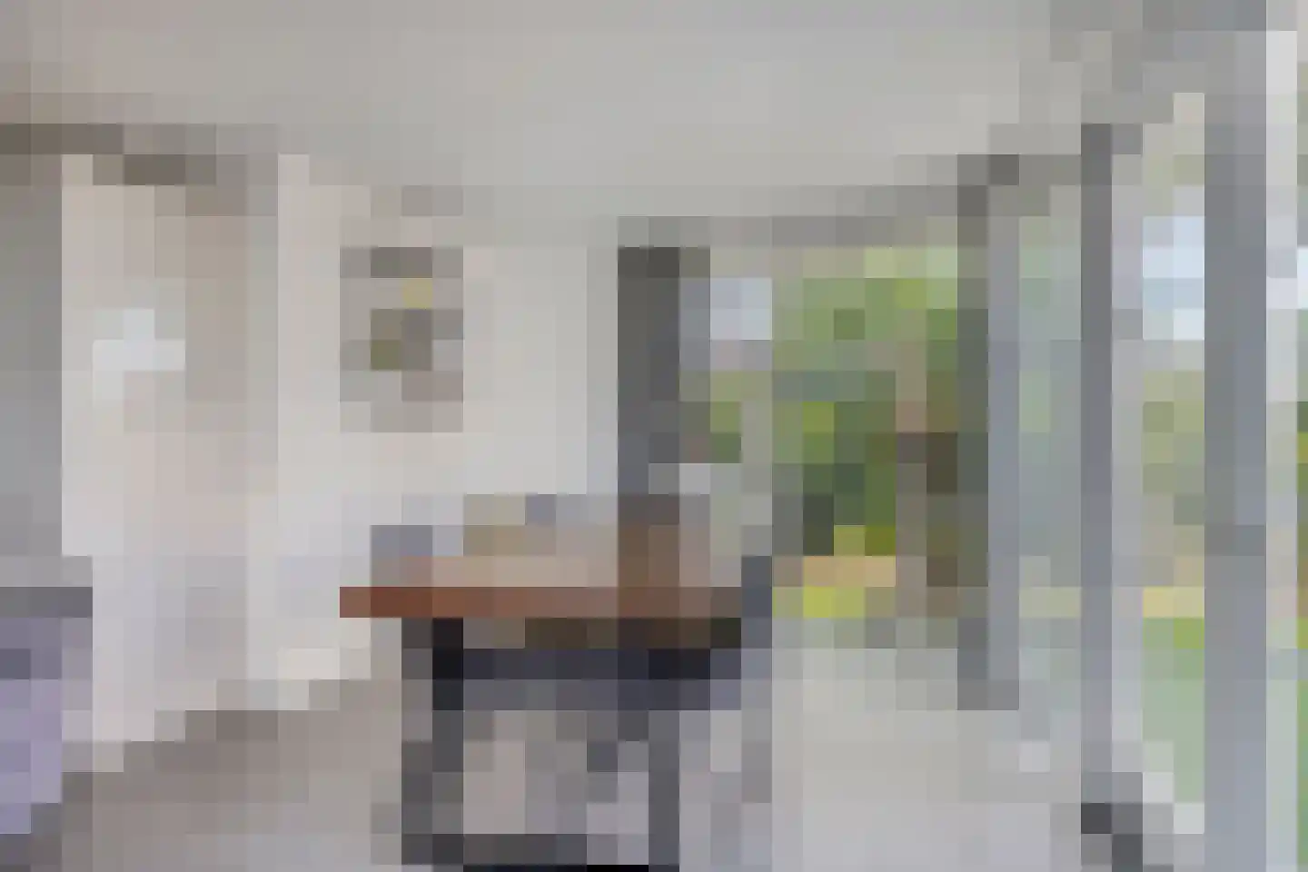 Laag Boskoop 55 Boskoop thumbnail 17