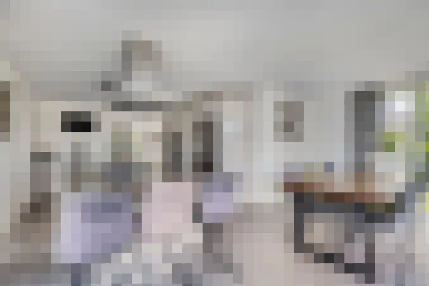 Laag Boskoop 55 Boskoop thumbnail 18