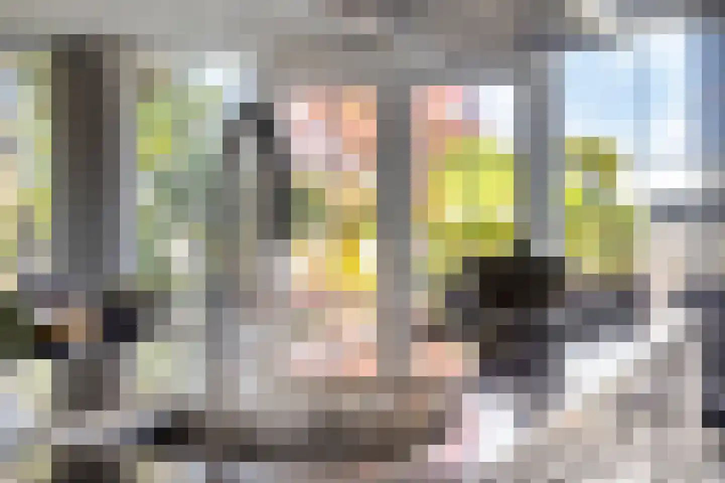 Laag Boskoop 55 Boskoop thumbnail 22