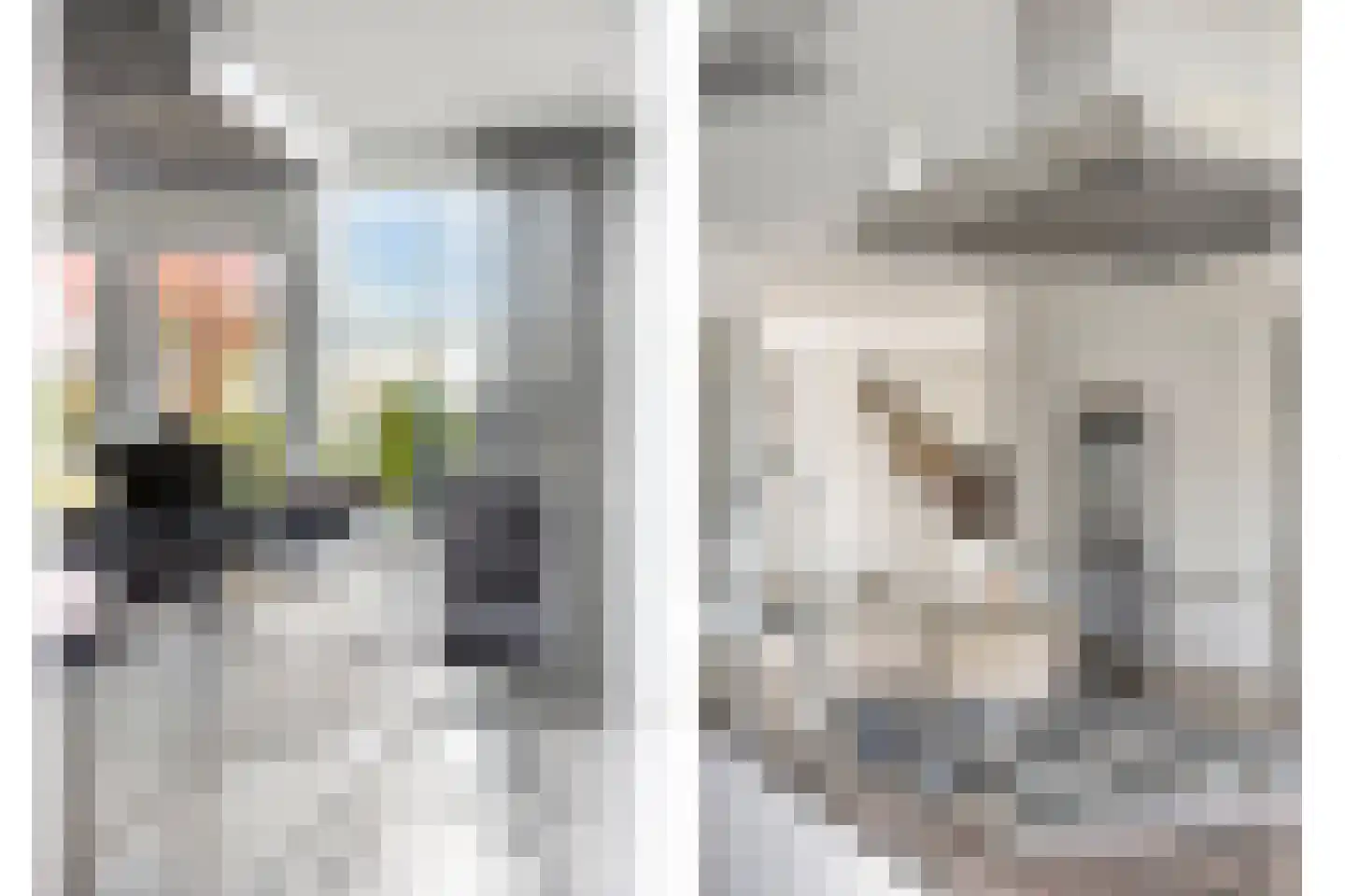 Laag Boskoop 55 Boskoop thumbnail 24