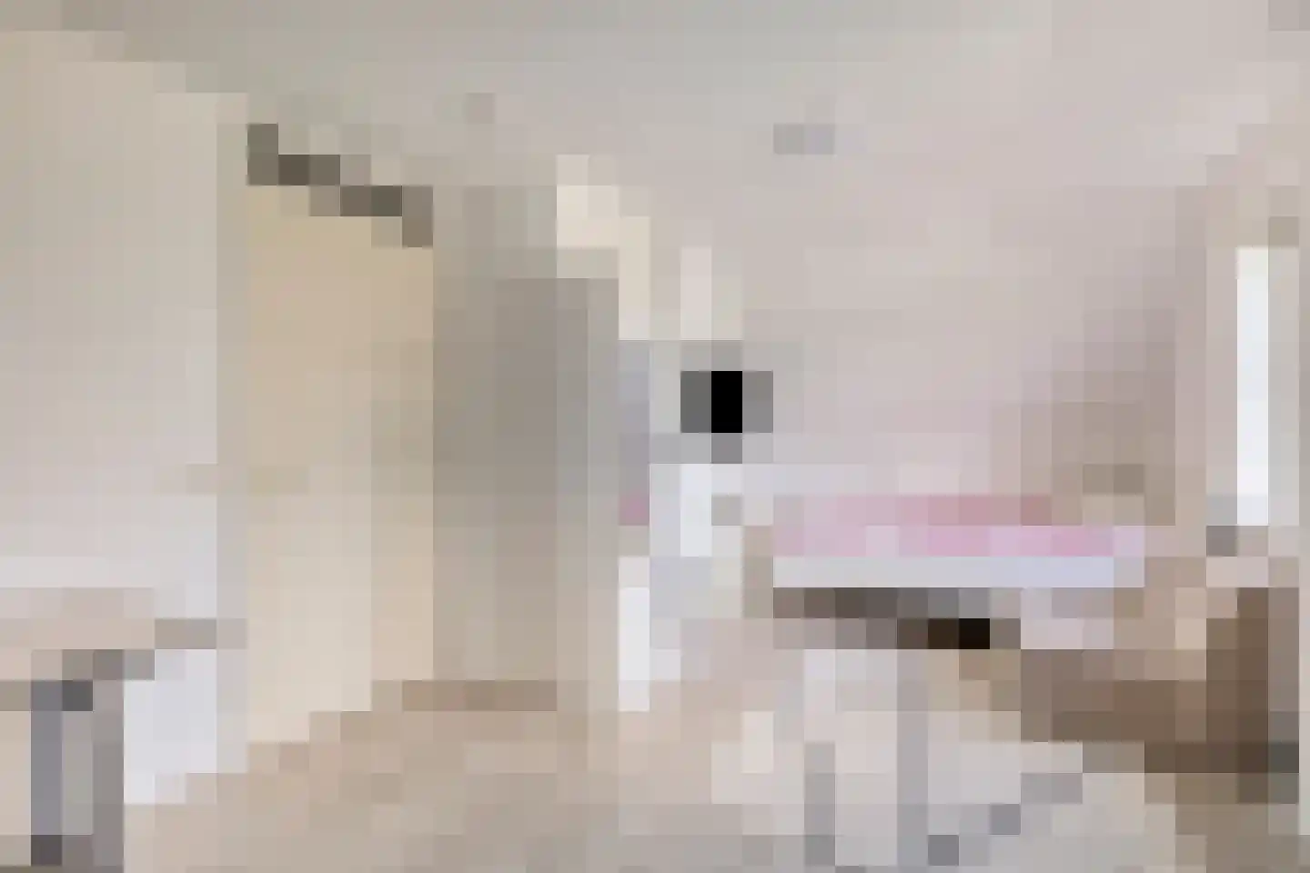 Laag Boskoop 55 Boskoop thumbnail 28