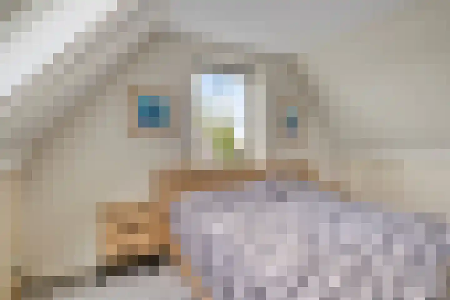 Laag Boskoop 55 Boskoop thumbnail 33