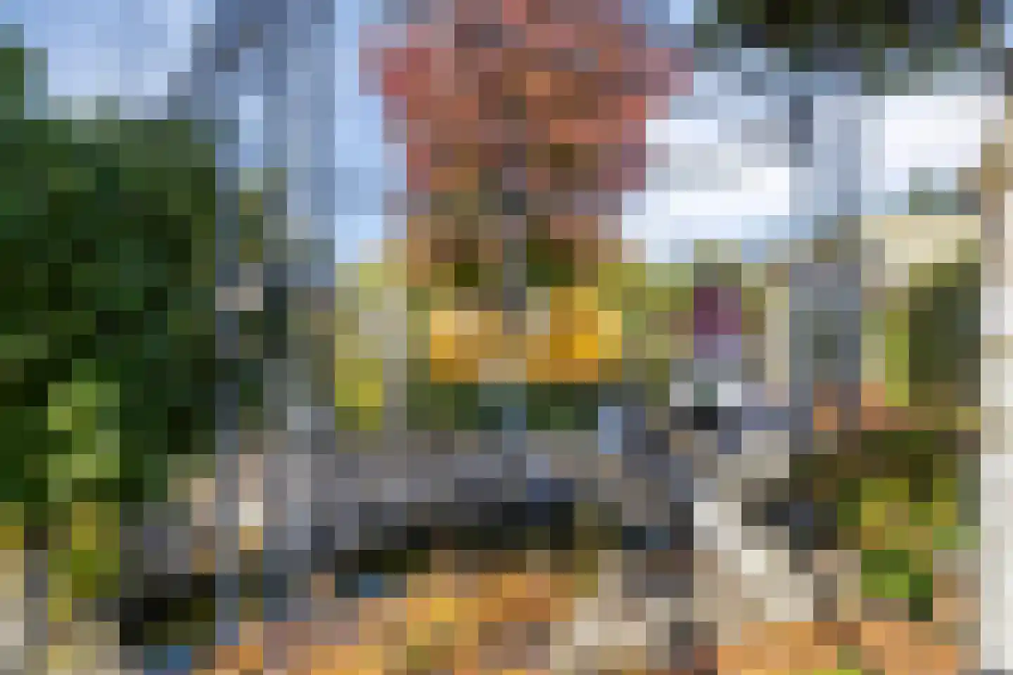 Laag Boskoop 55 Boskoop thumbnail 43