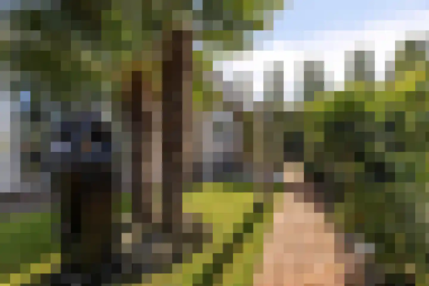 Laag Boskoop 55 Boskoop thumbnail 44