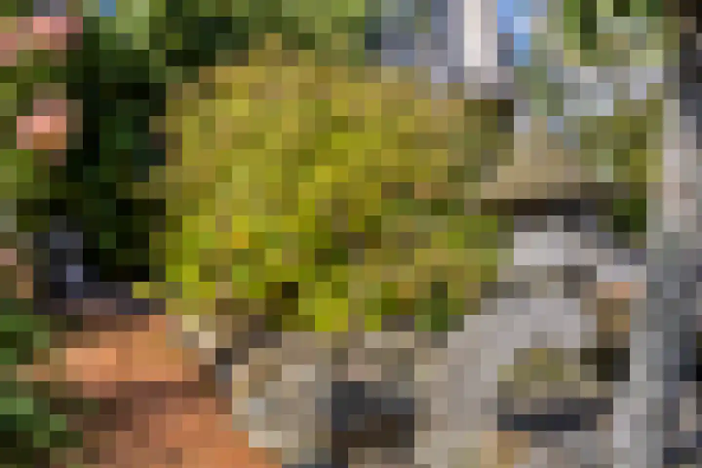 Laag Boskoop 55 Boskoop thumbnail 47