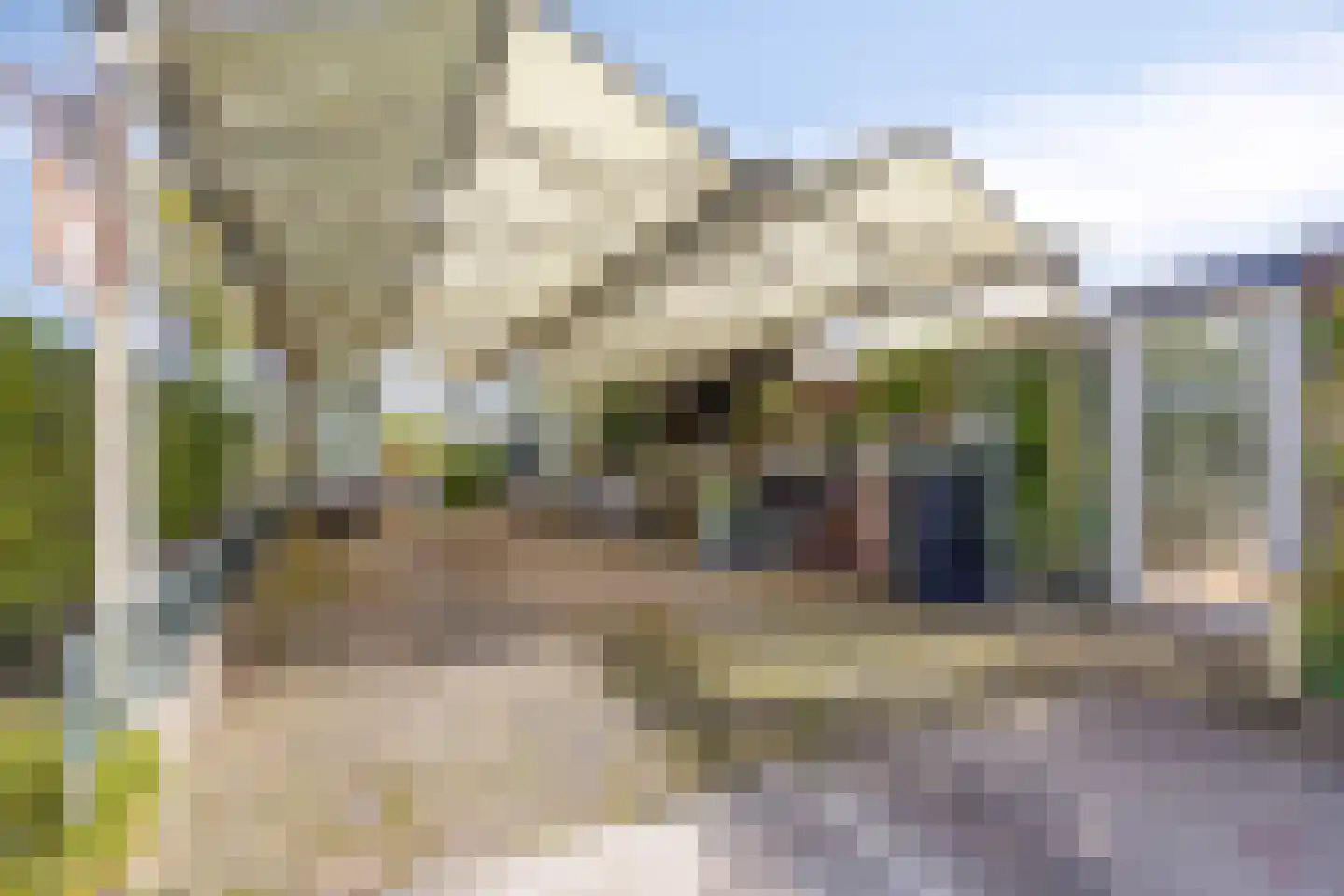 Laag Boskoop 55 Boskoop thumbnail 50