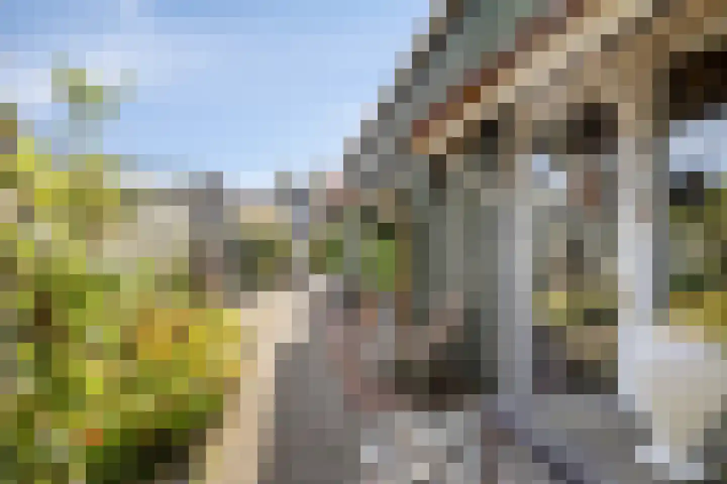 Laag Boskoop 55 Boskoop thumbnail 52