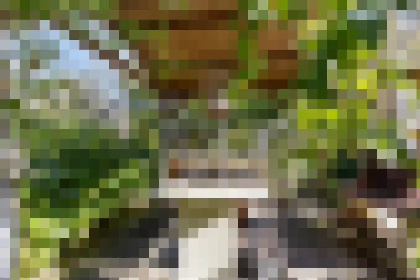 Laag Boskoop 55 Boskoop thumbnail 58