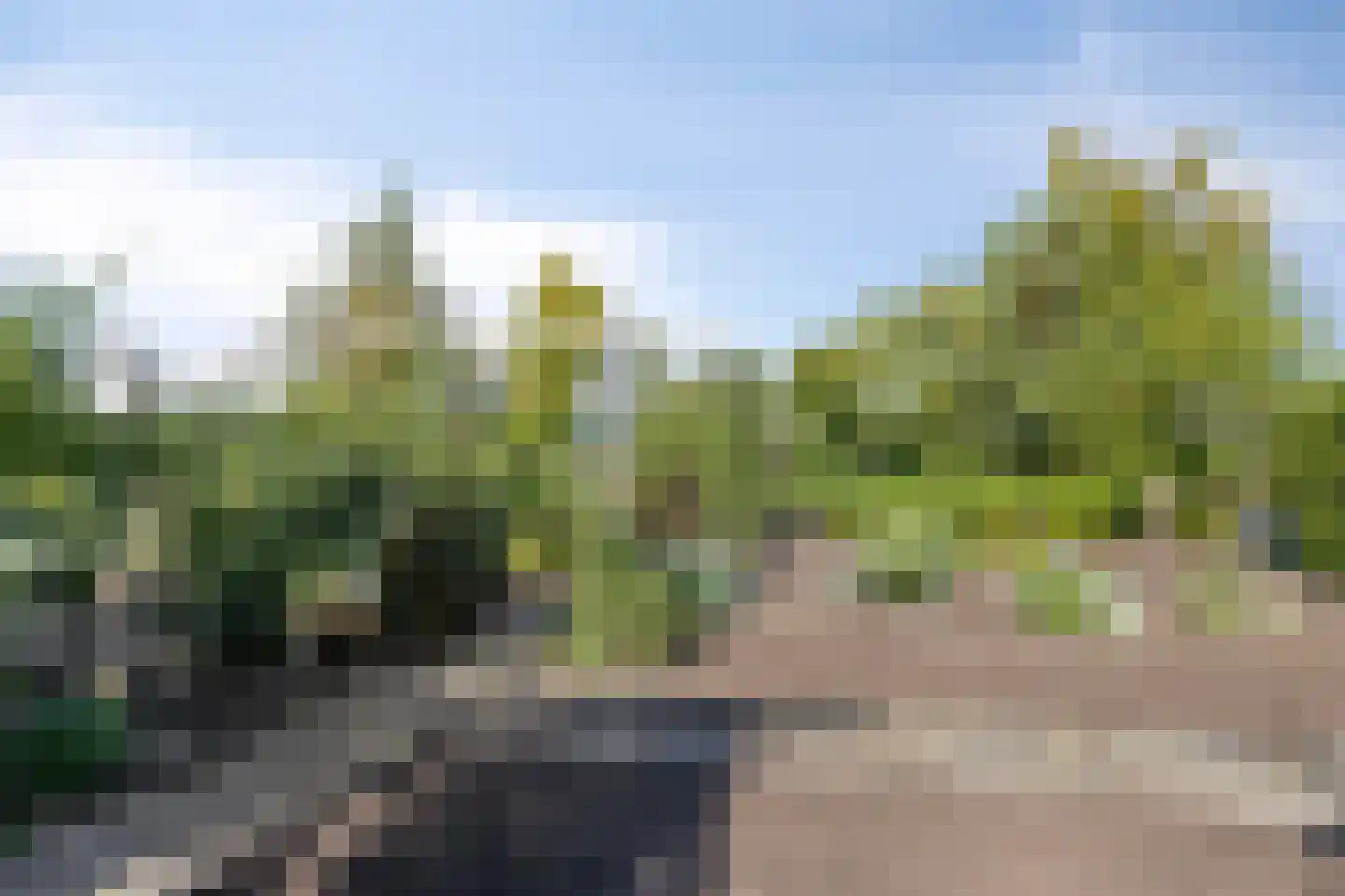 Laag Boskoop 55 Boskoop thumbnail 59