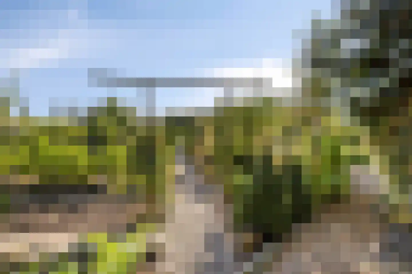 Laag Boskoop 55 Boskoop thumbnail 60