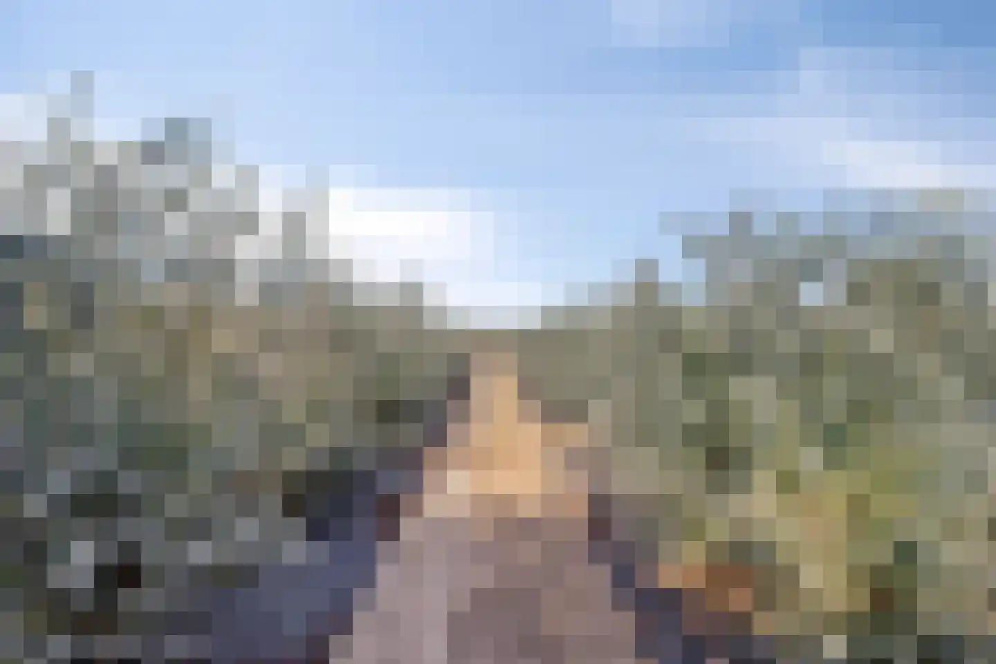 Laag Boskoop 55 Boskoop thumbnail 61