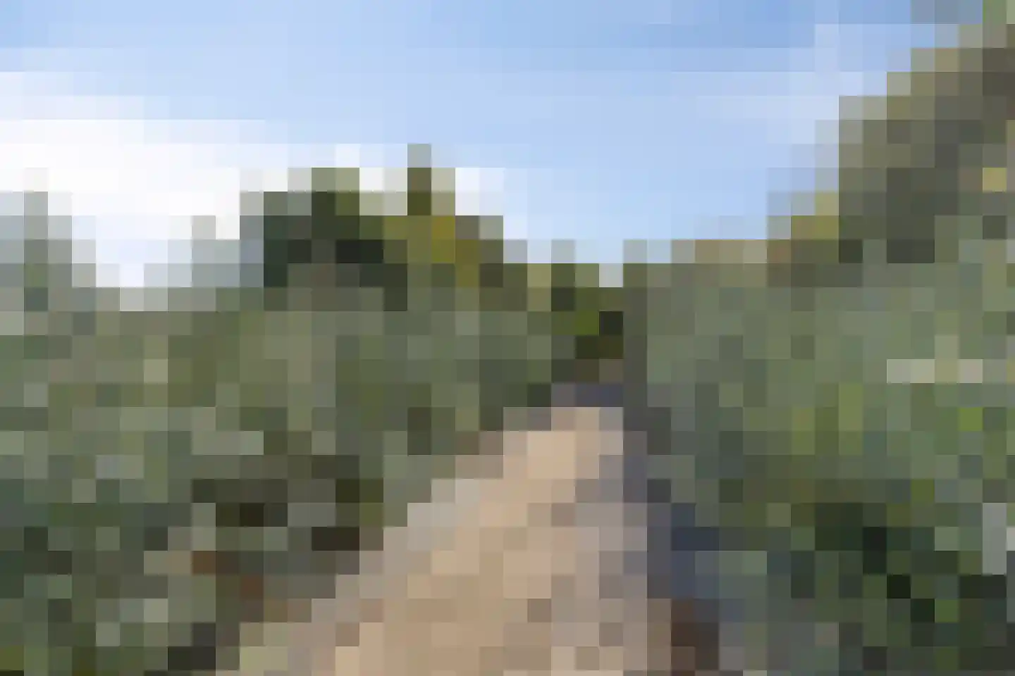 Laag Boskoop 55 Boskoop thumbnail 62