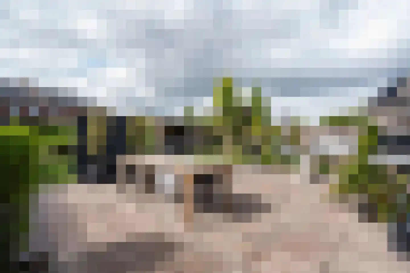 Laag Dalemseweg 46 Gorinchem thumbnail 43