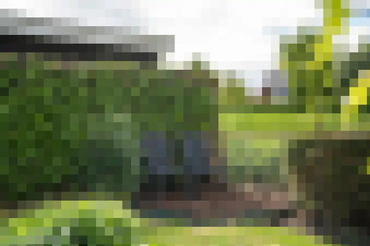 Laag Dalemseweg 46 Gorinchem thumbnail 46