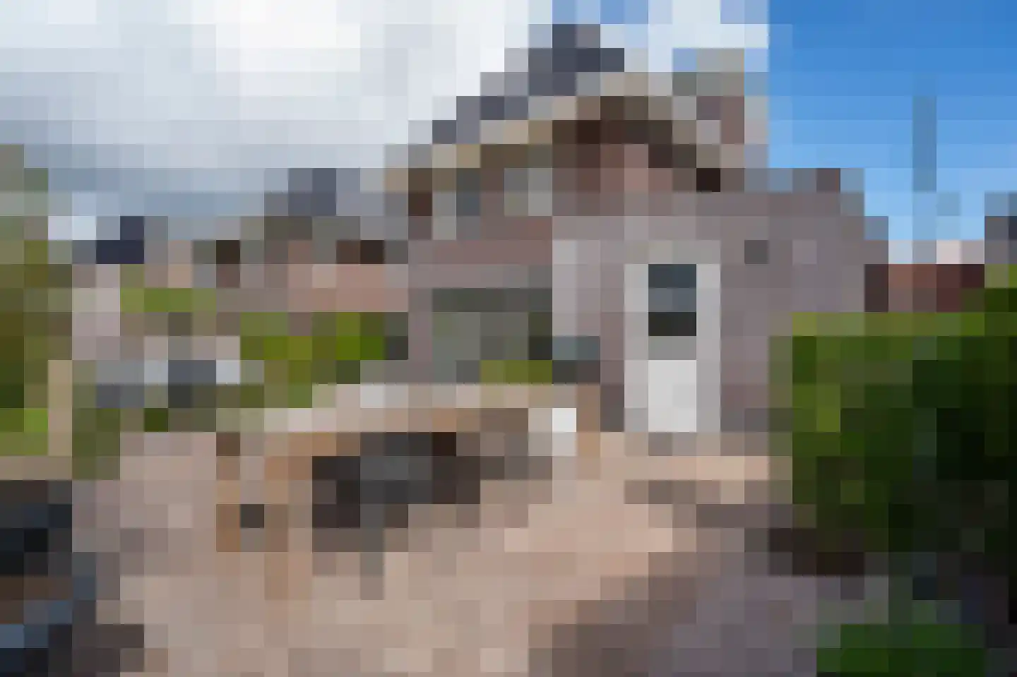 Laag Dalemseweg 46 Gorinchem thumbnail 50
