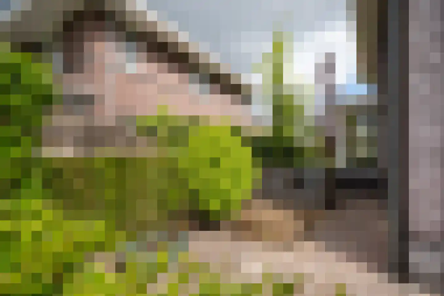 Laag Dalemseweg 46 Gorinchem thumbnail 51
