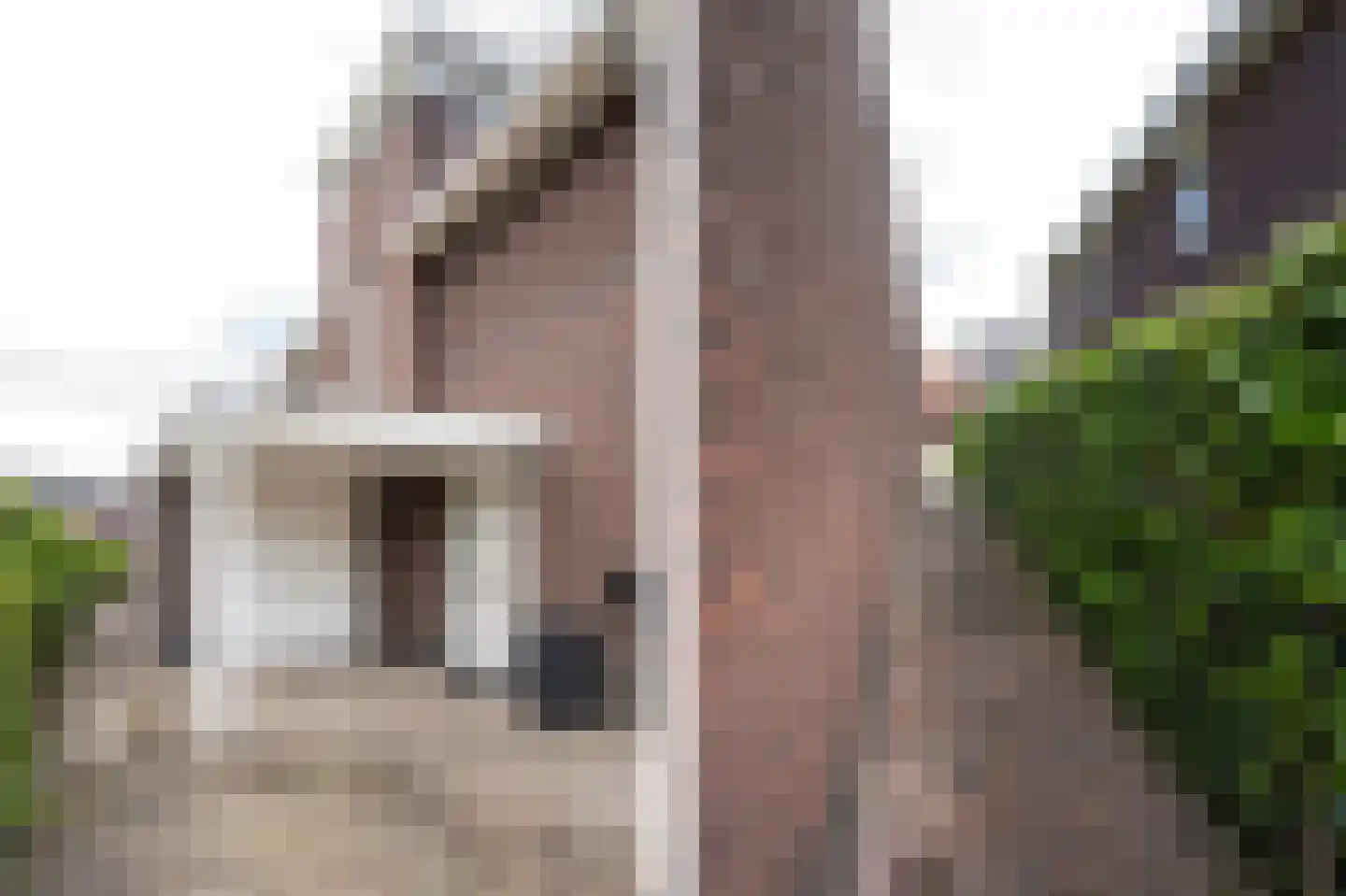 Laag Dalemseweg 46 Gorinchem thumbnail 53