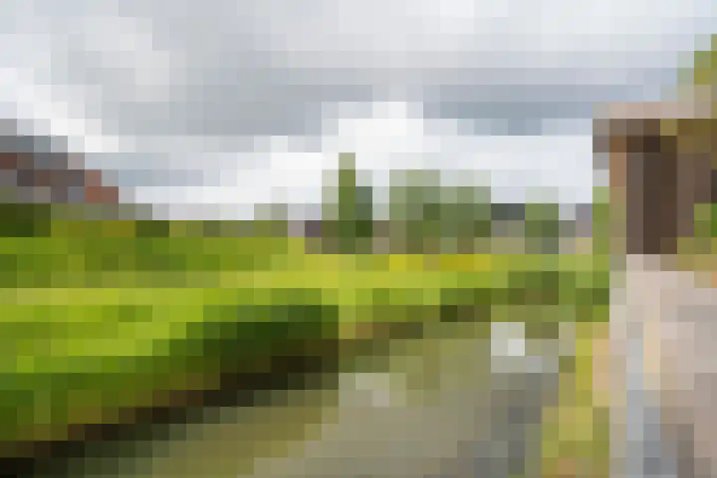 Laag Dalemseweg 46 Gorinchem thumbnail 6
