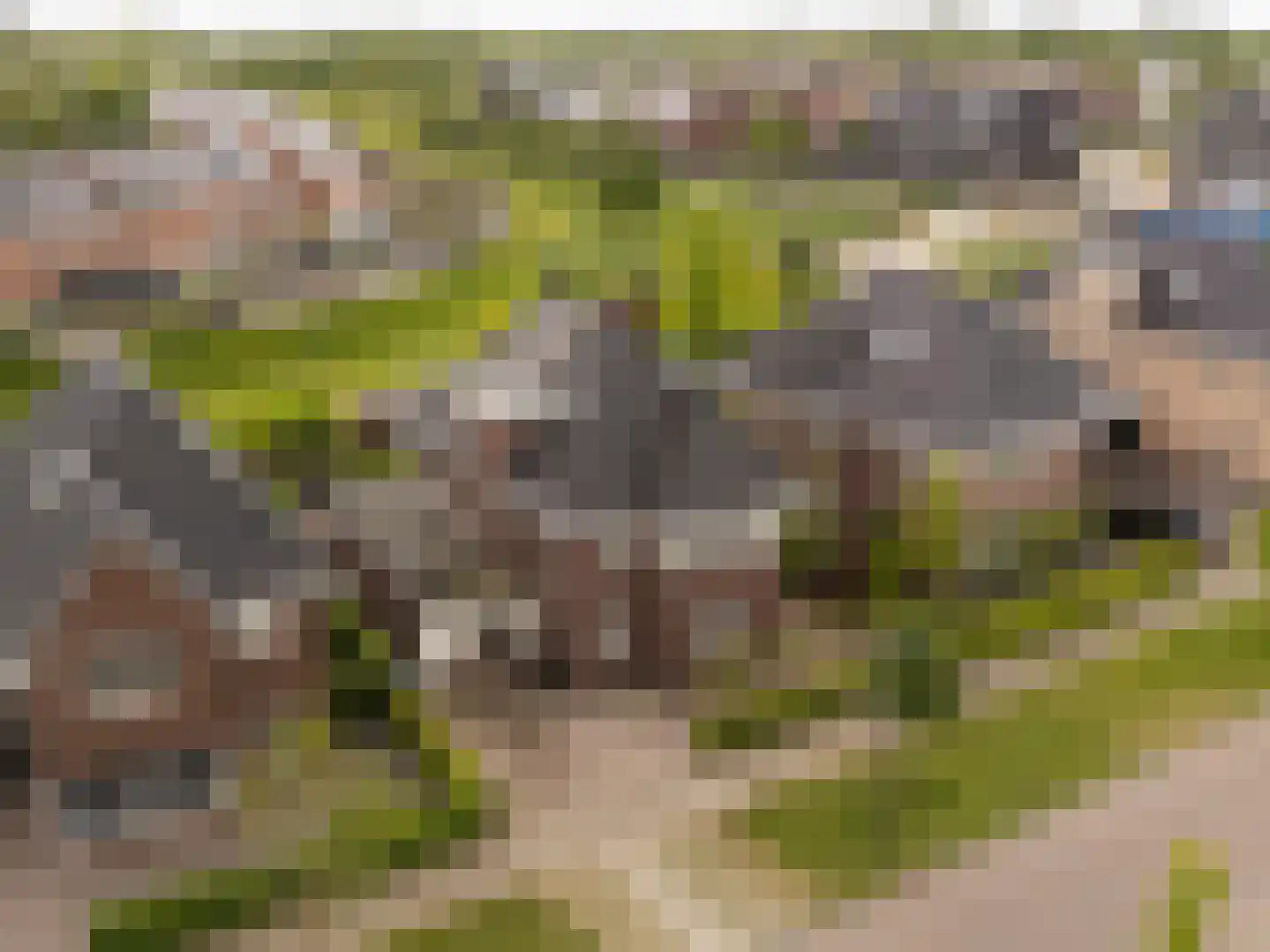 Laag Dalemseweg 46 Gorinchem thumbnail 8