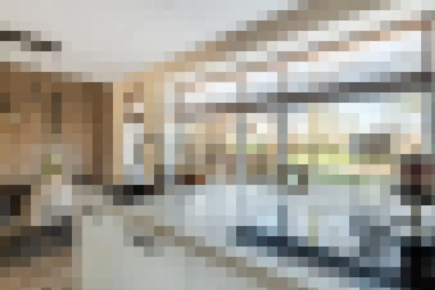 Laag Dalemseweg 68 Gorinchem thumbnail 25