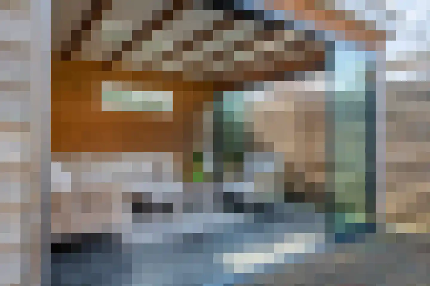 Laag Dalemseweg 68 Gorinchem thumbnail 55