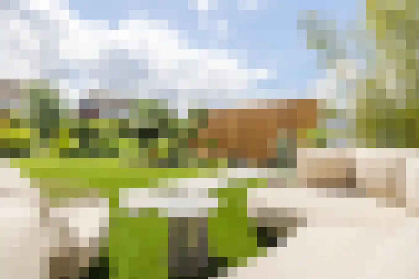 Laag Dalemseweg 88 Gorinchem thumbnail 19