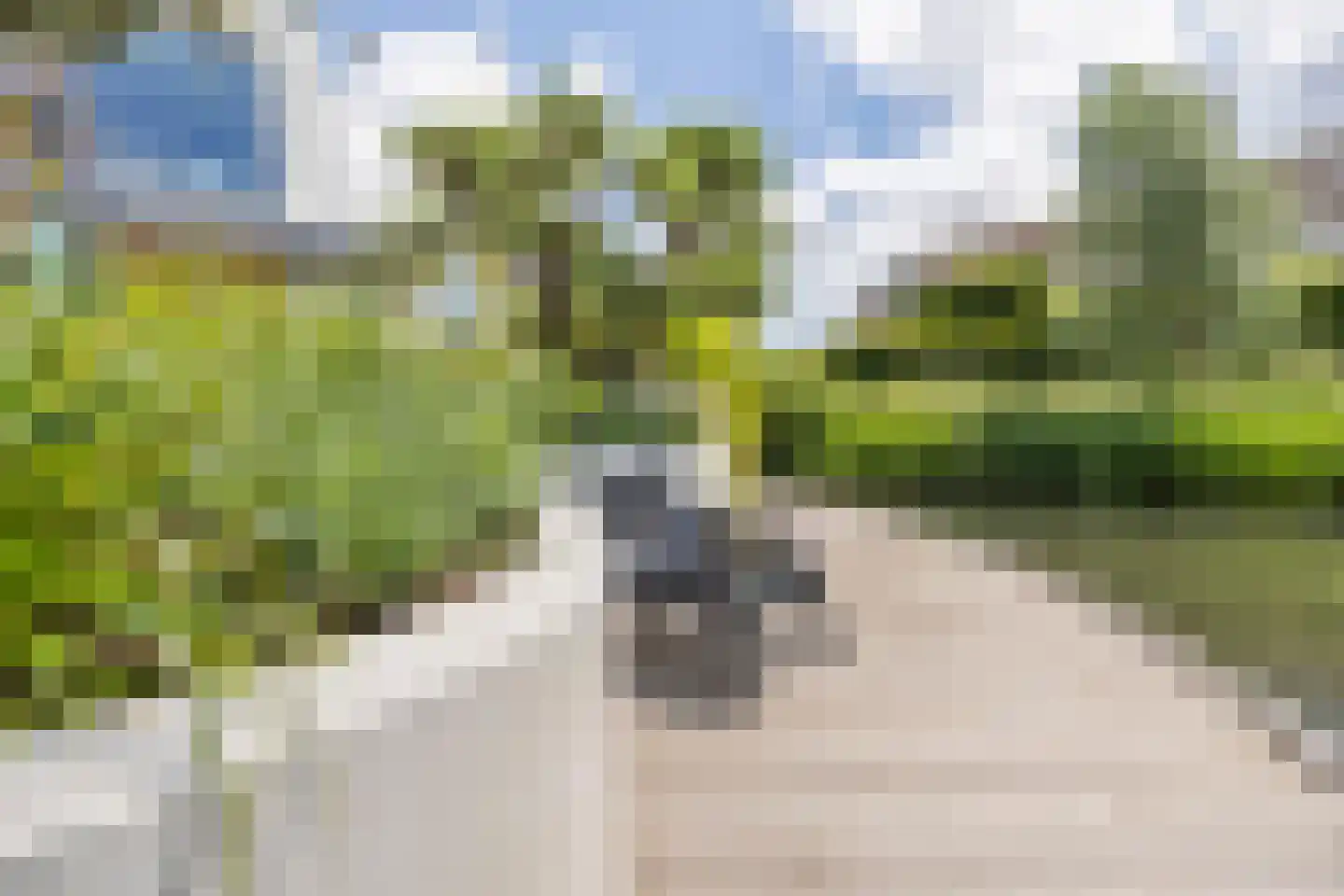 Laag Dalemseweg 88 Gorinchem thumbnail 25