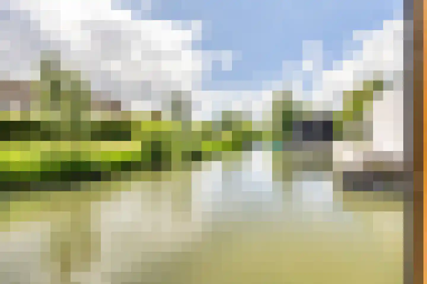 Laag Dalemseweg 88 Gorinchem thumbnail 26