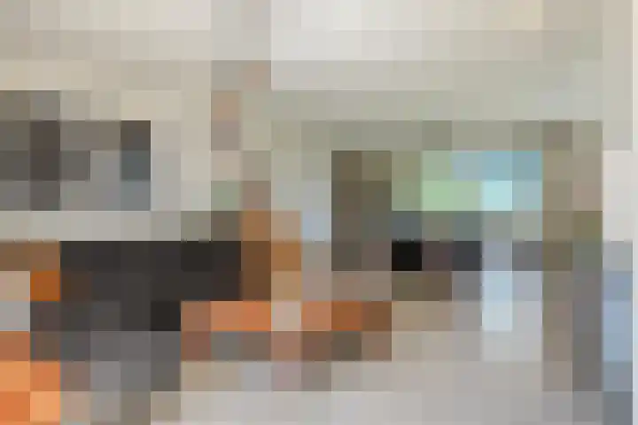Laag Spul 9 Hilvarenbeek thumbnail 10