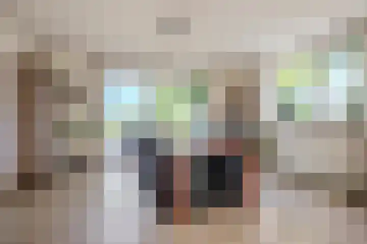 Laag Spul 9 Hilvarenbeek thumbnail 11