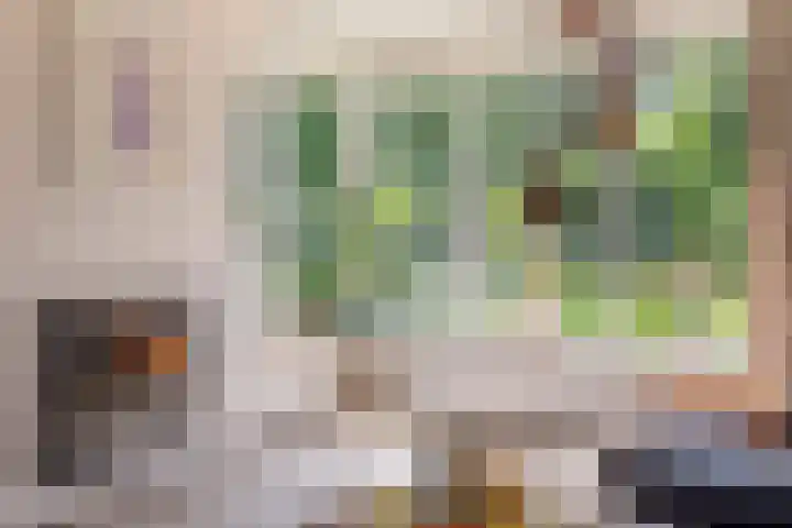 Laag Spul 9 Hilvarenbeek thumbnail 12