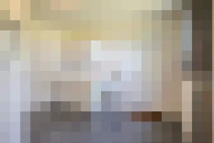Laag Spul 9 Hilvarenbeek thumbnail 18