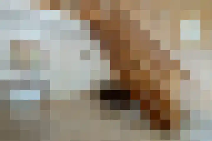 Laag Spul 9 Hilvarenbeek thumbnail 21