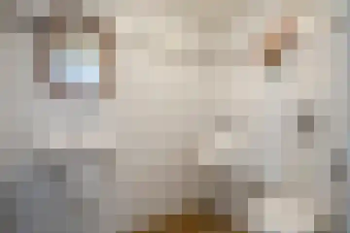 Laag Spul 9 Hilvarenbeek thumbnail 22
