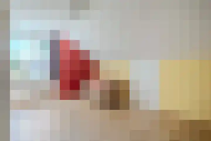Laag Spul 9 Hilvarenbeek thumbnail 29