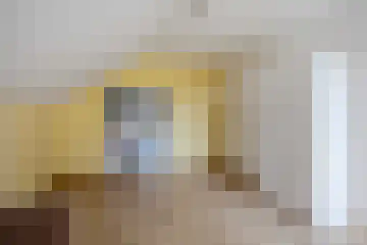 Laag Spul 9 Hilvarenbeek thumbnail 30