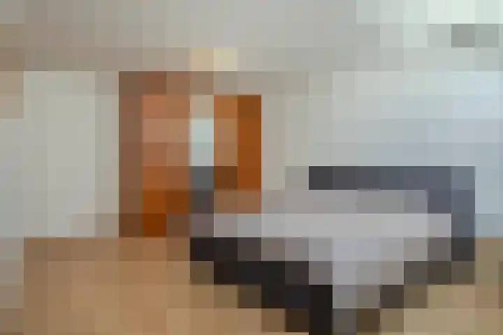 Laag Spul 9 Hilvarenbeek thumbnail 34