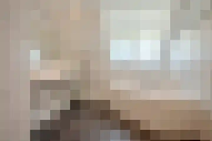 Laag Spul 9 Hilvarenbeek thumbnail 36
