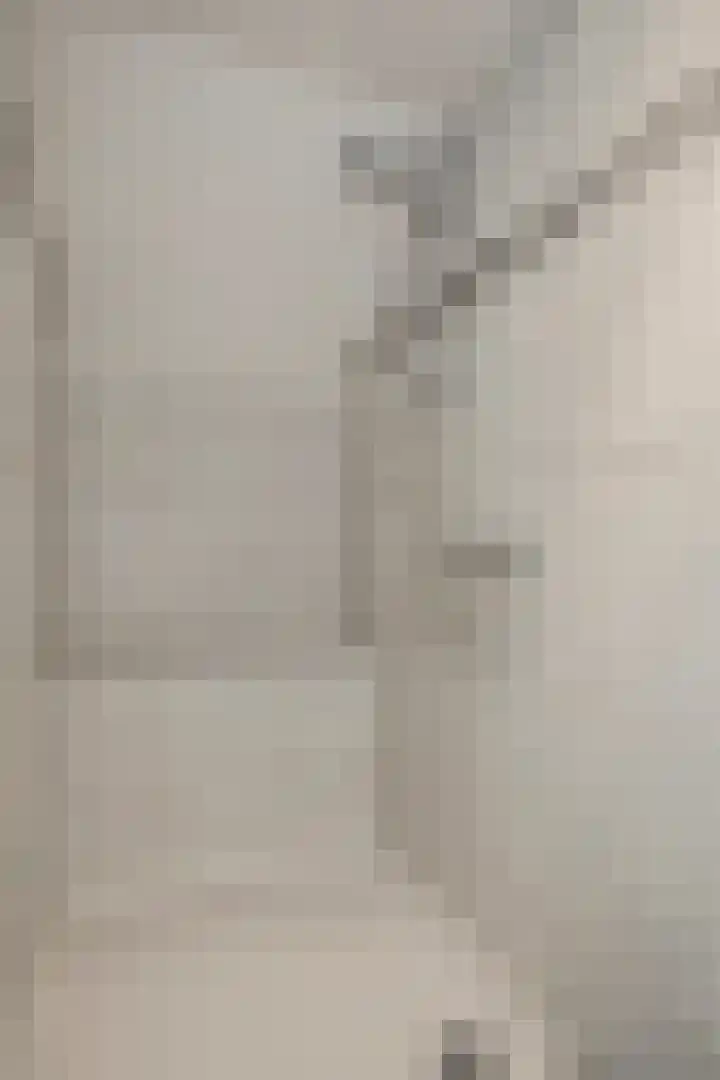 Laag Spul 9 Hilvarenbeek thumbnail 37