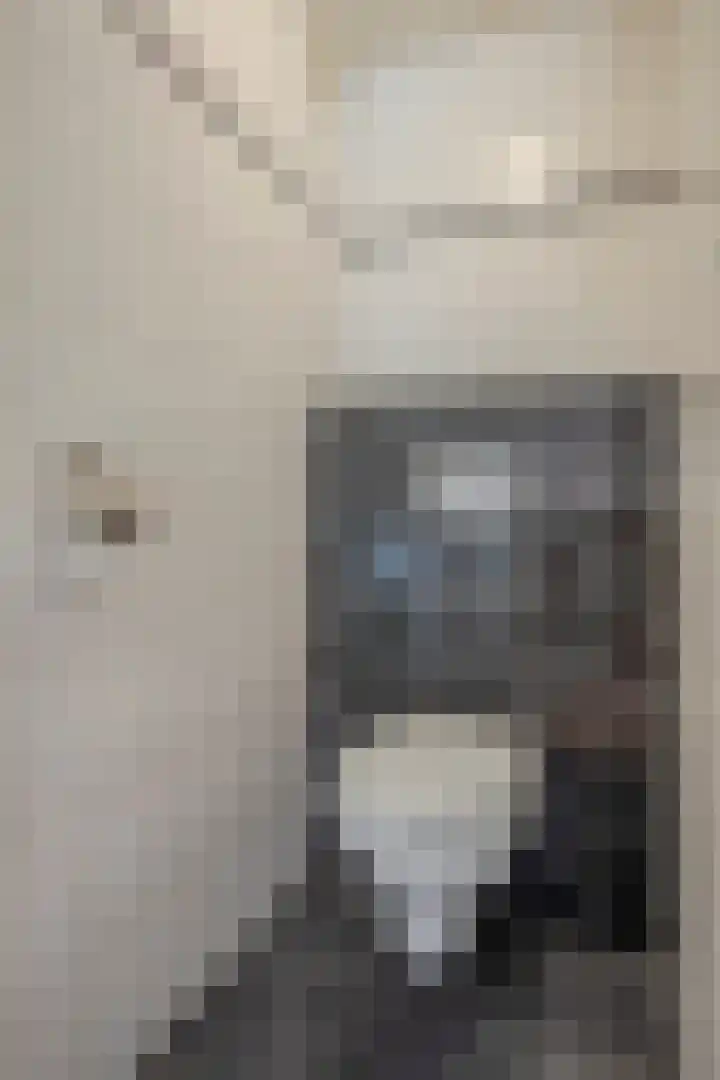 Laag Spul 9 Hilvarenbeek thumbnail 38