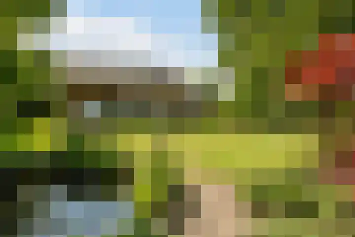 Laag Spul 9 Hilvarenbeek thumbnail 4