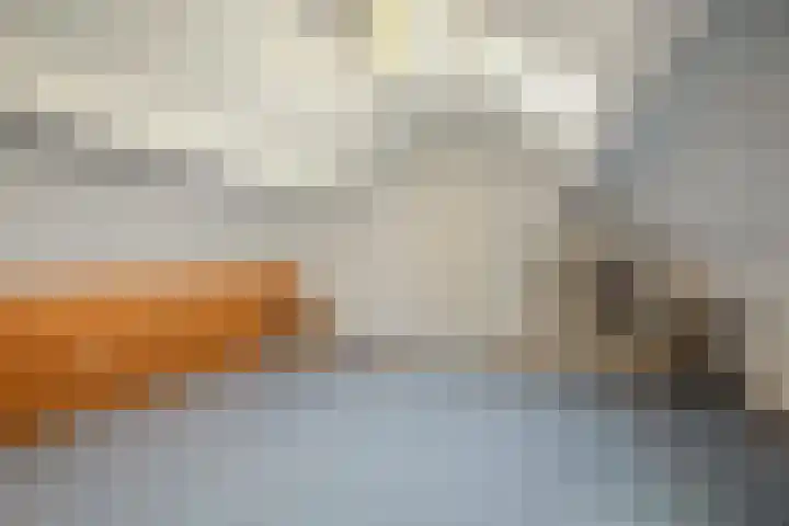 Laag Spul 9 Hilvarenbeek thumbnail 41